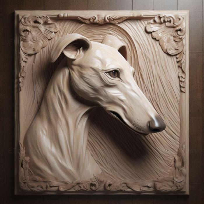 Greyhound dog 1